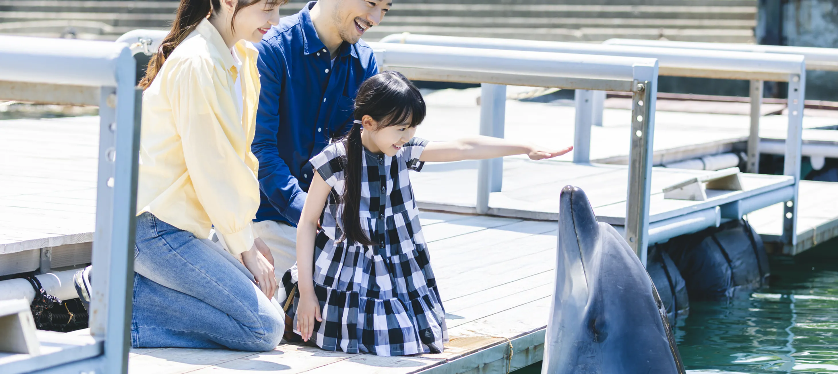 ドルフィンファームのキービジュアル