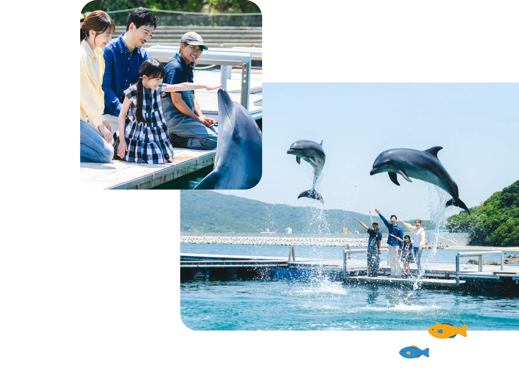 アクティビティ