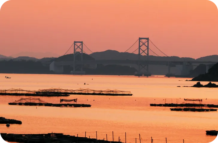 サンセット見学