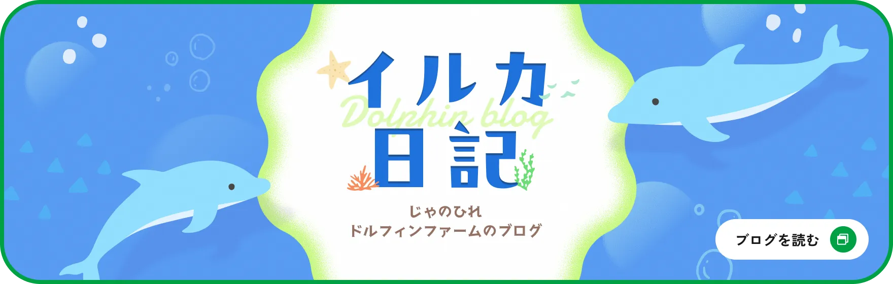 イルカ日記バナー