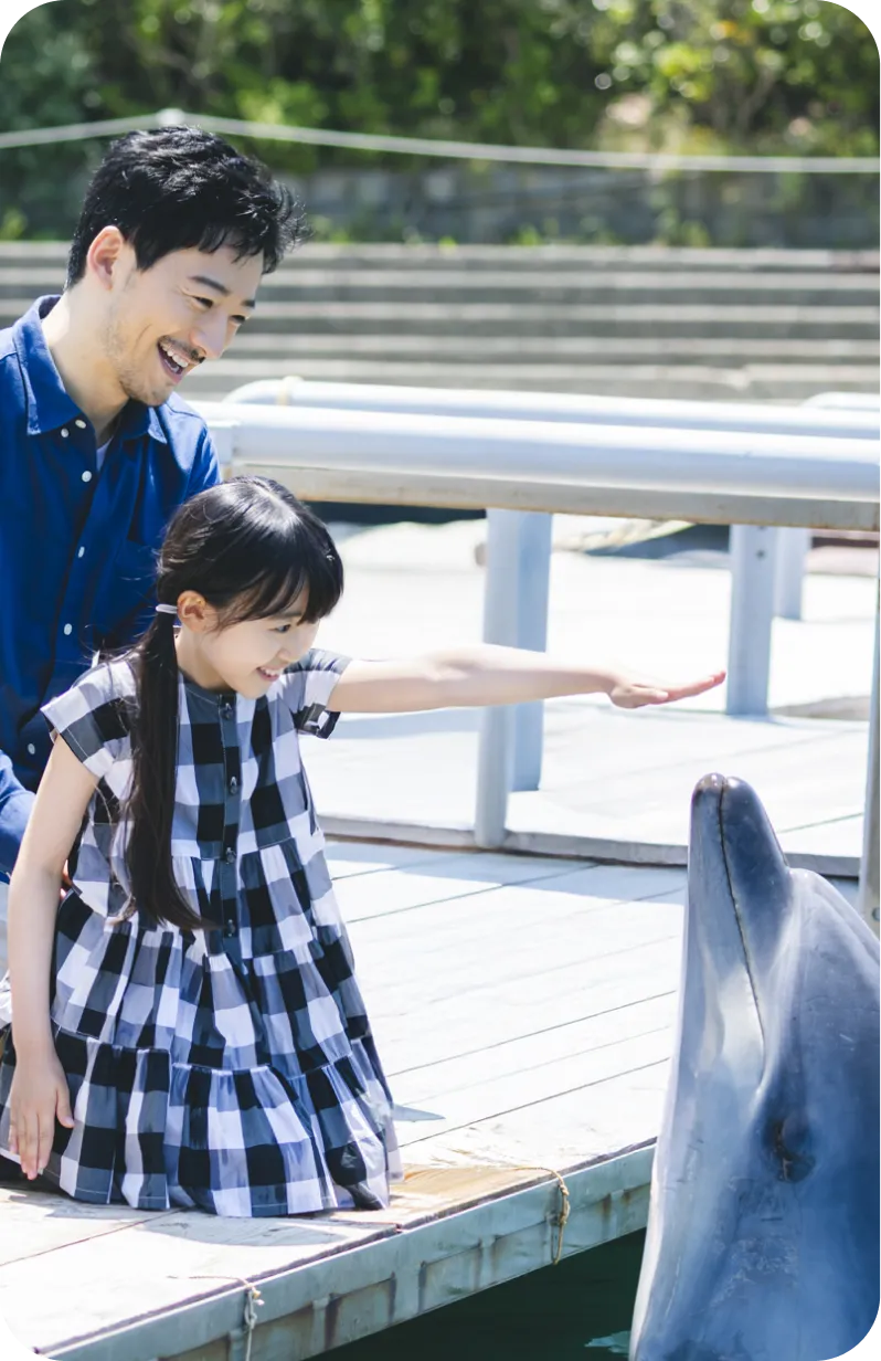 ドルフィンファーム