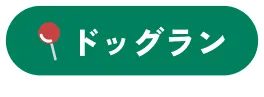 ドッグラン