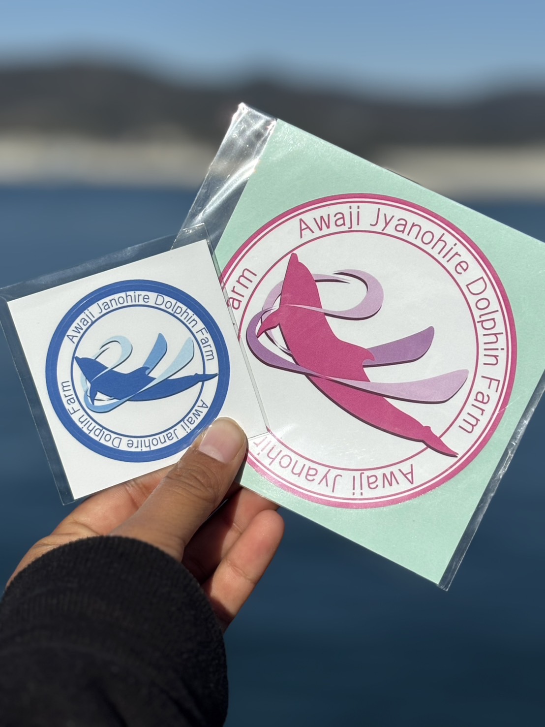 新春ドルフィンステッカープレゼントキャンペーン🐬🎍